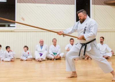 Shaolin-Tzu Martial Art